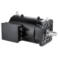 SynMot 75KW AC Servo Motor para máquina CNC